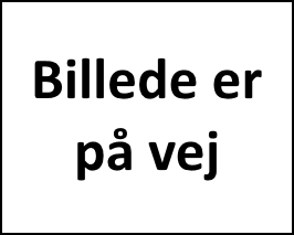 Dvrg Vdder, rex